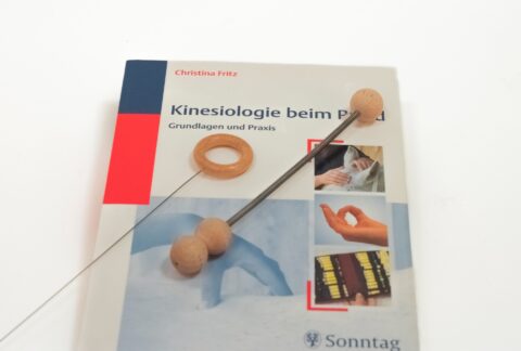 Kinesiologie